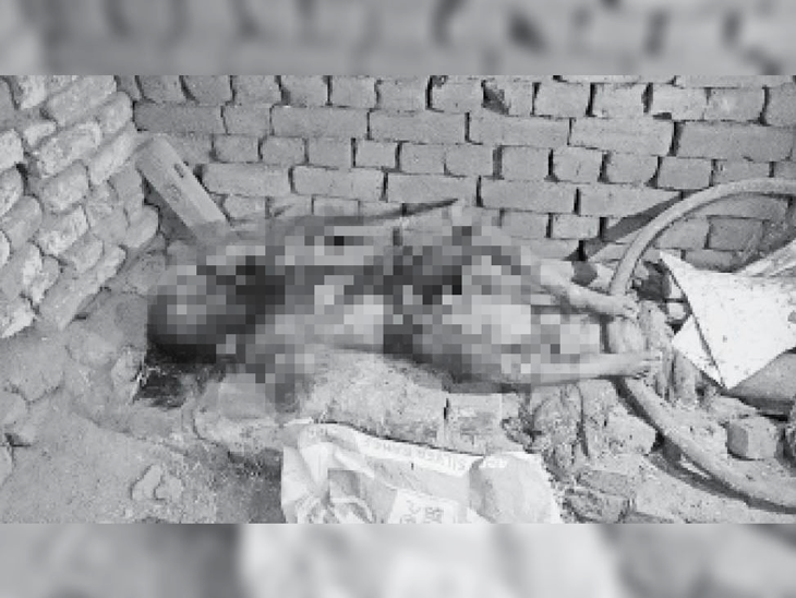 Grandson kills the girl after raping her on the ground, grandfather sets fire to eradicate evidence | पंजाब में 6 साल की बच्ची से रेप, फिर पटककर मारा; सबूत मिटाने के लिए आरोपी के दादा ने लाश जला दी