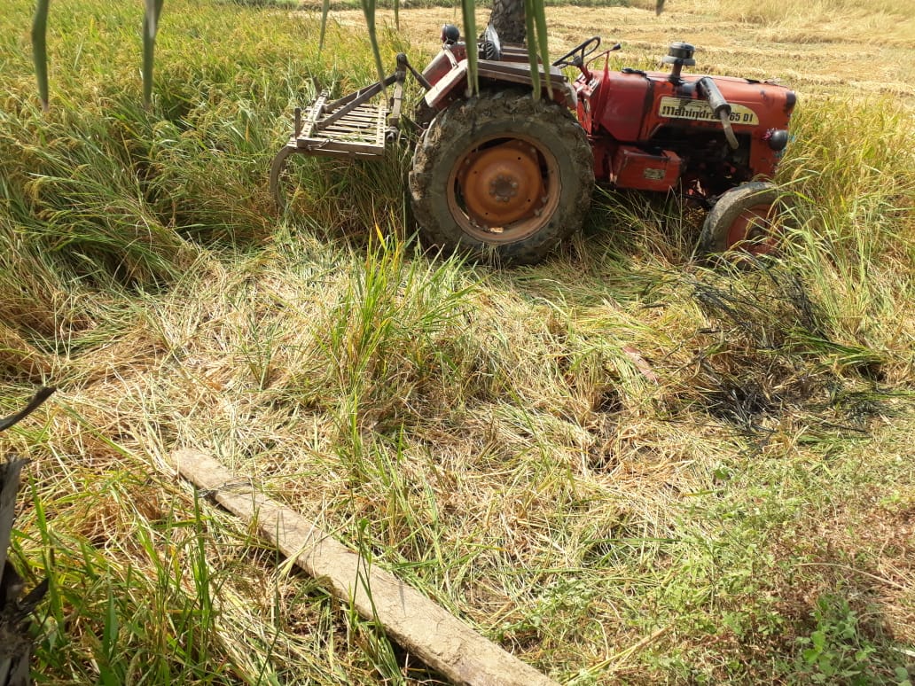 Bihar Road Accident Death Update; Women Killed In Arrah And Farmer Died After Tractor Overturned In Gaya | आरा में बाइक सवार को ट्रक ने रौंदा, महिला की मौत, गया के परैया में ट्रैक्टर पलटने से किसान की जान गई