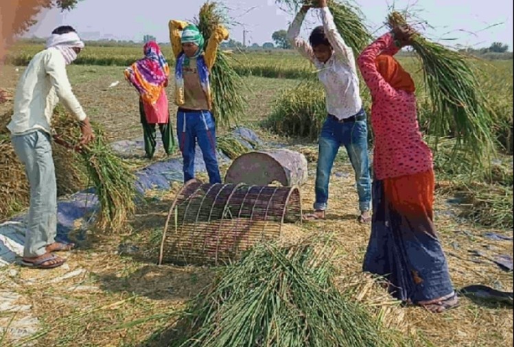 Bihar Election Result 11 States Bypolls 59 Assembly Seats Bjp Victory Symbol Approval Of Modi Government Policies Agriculture Bill 2020 – क्या ‘बिहार फतह’ केंद्र की योजनाओं पर मुहर, नहीं दिखी किसानों की नाराजगी?